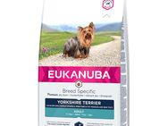 Eukanuba Adult Breed Specific Yorkshire Terrier - Sparpaket: 3 x 2 kg