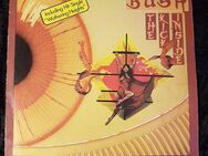 Schallplatte Vinyl 12'' LP - KATE BUSH - THE KICK INSIDE [1978] - Zeuthen