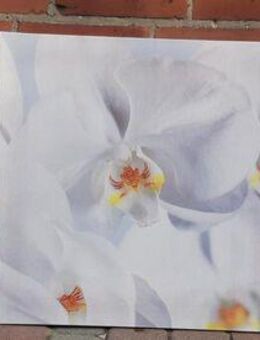 Trilogie auf echter Leinwand: Die Orchidee, Rarität von 2004 - Berlin Lichtenberg