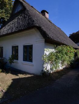 Charmantes Reetdachhaus mit Ausbaureserve im Dachboden - Vaale