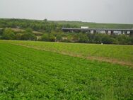 DIREKT VOM EIGENTÜMER ! Gewerbliches Bauerwartungsland in guter Stadtrandlage von Alzey - Alzey