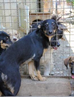 Anika möchte mehr von der Welt sehen - Schwabach