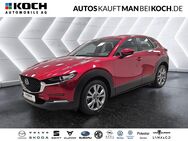 Mazda CX-30, 2.0 e M HYBRID 150 6MT FWD Excl, Jahr 2023 - Ludwigsfelde