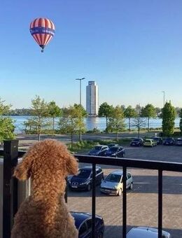 Wohnen wie im Urlaub: voll möblierte, bezugsfertige, 4-Zimmer Eigentumswohnung mit Schleiblick in Schleswig - Schleswig