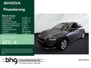 Skoda Scala, 1.0 TSI DRIVE 125 Scala Drive 125, Jahr 2020 - Freudenstadt