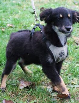 Blanka sucht ihr großes Glück - Berlin