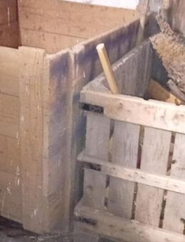 Holzkisten ohne Inhalt zu verschenken - Herxheim (Landau)