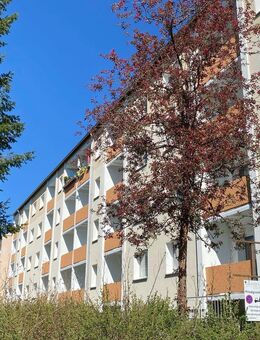 Im Angebot für Sie ++ schöne 2 Raum Wohnung im Erdgeschoss - Markneukirchen