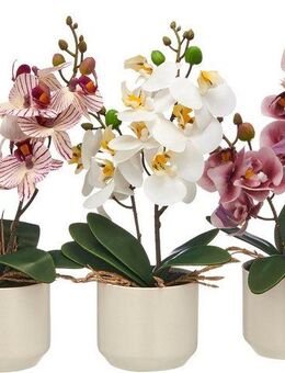 Kunstorchidee Orchidee Phalaenopsis, Creativ green, Höhe 28 cm, mit real-touch-Blüten