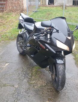 Junge Motorradbraut gesucht - Köthen (Anhalt) Zentrum