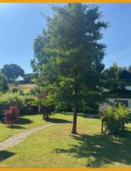 IDYLLISCHE LAGE AN DER WIERA UND VIEL PLATZ! KEINE KÄUFERPROVISION! - Schwalmstadt