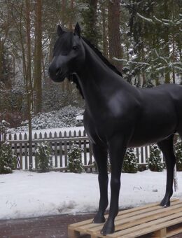 Pferd lebensgroß 3D Modell Tornado zum aufsitzen bis 100kg belastbar ... - Heidesee