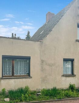Charmantes Einfamilienhaus mit großem Grundstück in Hillersleben - Westheide