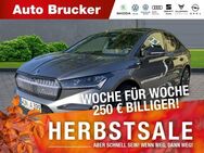 Skoda Enyaq iV Coupe RS 80x Lounge 4x4 Navi LED FSE ACC - Marktredwitz