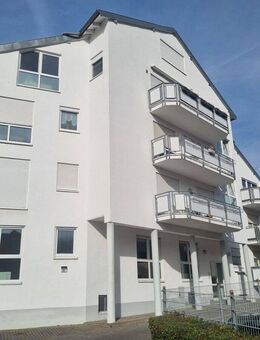 Komplett sanierte 2-Zimmer-Wohnung in sehr guter Lage von Nidderau Windecken - Nidderau