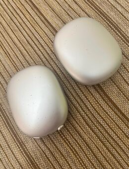 AirPods Max Ersatzteile - Wegscheid