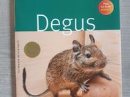 Degus (Tierratgeber) - Oberkochen