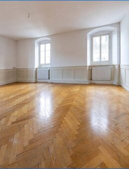 Traumhafte, aparte Denkmalwohnung im Herzen v. RZ- wenige Schritte zum Bodensee, Bezugsbereit! - Radolfzell (Bodensee)