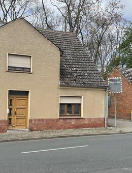 Bottmersdorf- sanierungsbedürftiges EFH für Handwerker - Wanzleben-Börde