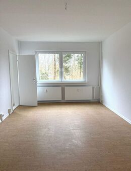 Helle und gemütliche Einzimmerwohnung in Schwerin - Schwerin