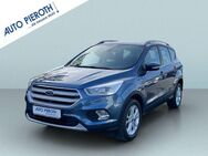 Ford Kuga 1.5 EcoBoost 2x4 Titanium - Worms