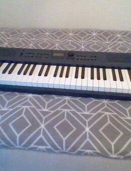 Neues Roland  Keyboard   GO ; KEYS 3  + Gitarrenverstärker +PC Lautsprecher - Hohenlockstedt