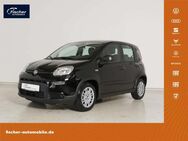 Fiat Panda, 1.0 GSE Hybrid, Jahr 2024 - Pilsach