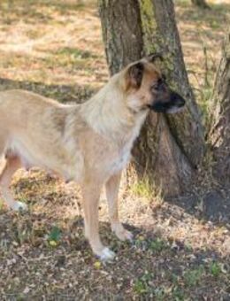 RÜBE - meine Familie einfach begeistern - Overath