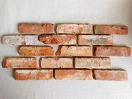 Rustikale Mosaik Antikriemchen rote Klinkerriemchen alte Ziegelwand regional nachhaltige Verblender - Halle (Saale)