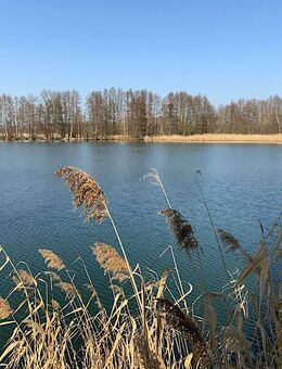 Ferienbungalow am Angel- und Badesee - Naturcamping in Spreewaldnähe - Heideblick