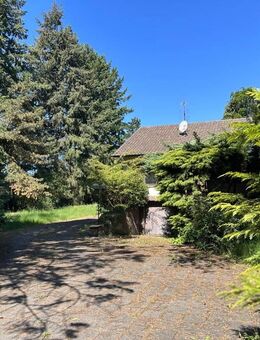 Paradies für Familien, Handwerker und Tierliebhaber auf einem besonderen Grundstück! - Freudenberg (Baden-Württemberg)