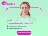 Firmenkundenberater Vorsorge / Vertriebsexperte betriebliche Versorgungswerke Bankenvertrieb (m/w/d) - Weiden (Oberpfalz)