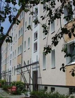Top-sanierte 3-Raum-Wohnung in schöner Lage - Zwickau