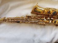 Altsaxophon Arnold & Son AAS-100 mit Zubehör - Roßbach (Landkreis Neuwied)