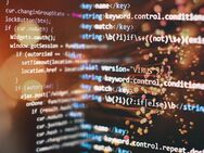 Individuelle Erweiterungen/Plugins für Shopware 6 - Schliengen