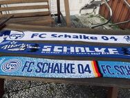 Schalke 04 Schals 3 Stk. - Dorsten