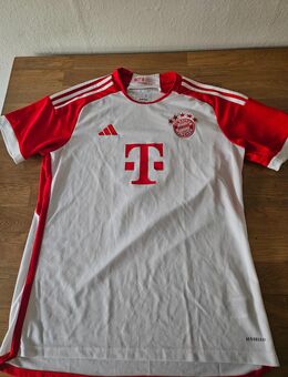 Orginal Bayern München Trikot Harry Kane - Leipzig Nord