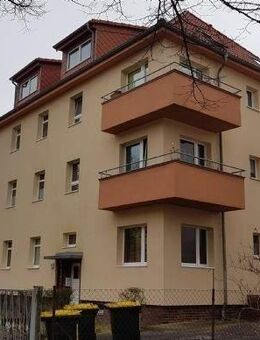 gemütliche 2-Raum Altbauwohnung mit Wohnküche - Cottbus