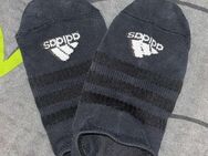 kurze Adidas Socken - Reutlingen