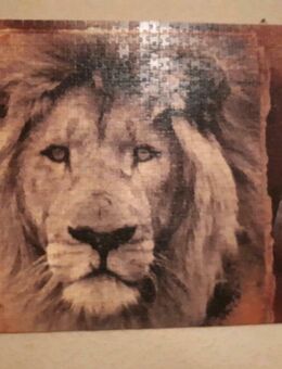 Schmidt Puzzle Löwe Afrika Speere Sepia - Frankfurt (Main) Zeilsheim
