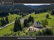 Historisches Villenanwesen im Erzgebirge – Absolute Alleinlage in traumhafter Natur! - Eibenstock