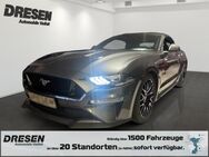 Ford Mustang, 5.0 Ti-VCT GT Convertible V8 TOP, Jahr 2020 - Bonn