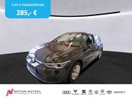 VW Golf, 2.0 TDI VIII LIFE PLUS, Jahr 2021 - Hof