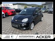 Fiat Panda, 1.0 GSE Hybrid Tech Style Komfort-P, Jahr 2024 - Marburg