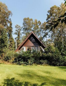 ⭐ Ferienhaus ❤️ Alleinlage Wald Natur Kamin Celle Lüneburg Heide - Sprakensehl
