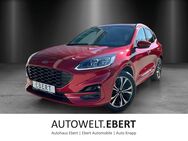 Ford Kuga, 1.5 EcoBoost ST-Line X SNYC3, Jahr 2020 - Weinheim