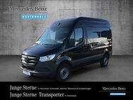 Mercedes Sprinter, 314 Kompakt Doppelsitz, Jahr 2020 - Grünstadt