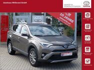 Toyota RAV 4, 2.5 4x2 Hybrid Edition-S, Jahr 2017 - Steinfurt