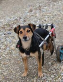 ROBY - was soll's, los geht's - Overath