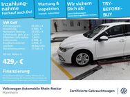 VW Golf, 2.0 TDI VIII Life Gar 2029, Jahr 2024 - Mannheim